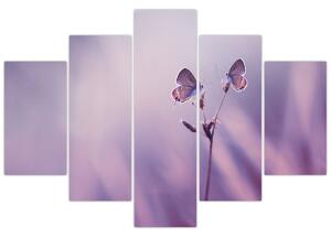 Obraz - Fialové motýliky (150x105 cm)