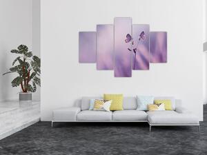 Obraz - Fialové motýliky (150x105 cm)