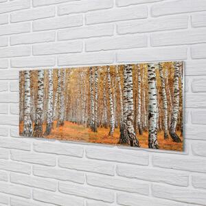 Sklenený obraz jesenné stromy 140x70 cm 4 Prívesky
