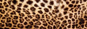 DIMEX | Fototapeta do kuchyne Leopardia koža KI-180-069 | 180 x 60 cm | béžová, čierna, hnedá