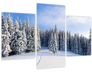 Obraz - Zima v lesoch (90x60 cm)