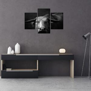 Obraz - Krava (90x60 cm)
