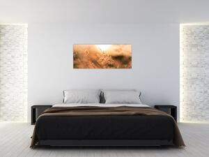 Obraz - Tráva na slnku (120x50 cm)