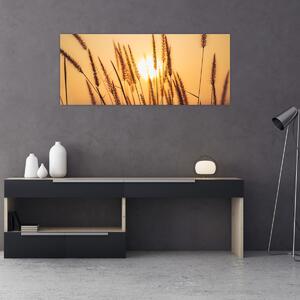 Obraz - Traviny na slnku (120x50 cm)