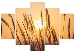 Obraz - Traviny na slnku (150x105 cm)