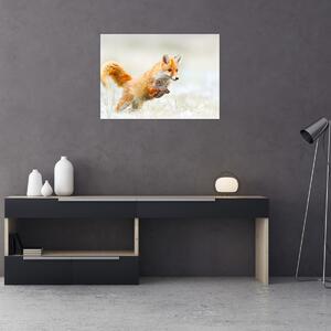 Obraz - Skákajúca líška (70x50 cm)