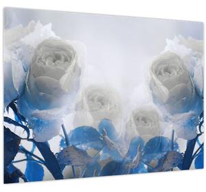 Obraz - Biele ruže (70x50 cm)