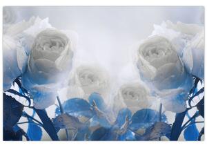 Obraz - Biele ruže (90x60 cm)