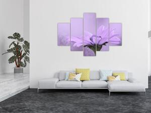 Obraz - Fialový kvet (150x105 cm)