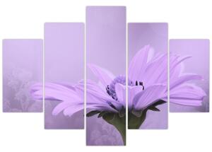 Obraz - Fialový kvet (150x105 cm)