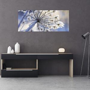 Obraz - Zamrznutý kvet (120x50 cm)