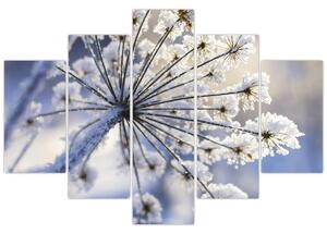 Obraz - Zamrznutý kvet (150x105 cm)