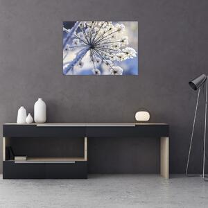 Obraz - Zamrznutý kvet (70x50 cm)