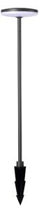 Vonkajšia lampa Alva 60 IP54 – 60 x 310 cm