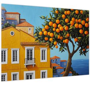Obraz - Pomarančovník (70x50 cm)