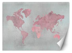Fototapeta Ružová mapa kontinentov - Andrea Haase Materiál: Vliesová, Rozmery: 200 x 140 cm
