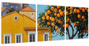 Obraz - Pomarančovník (s hodinami) (90x30 cm)