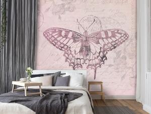 Fototapeta Motýľ na ružovom pozadí - Andrea Haase Materiál: Vliesová, Rozmery: 100 x 100 cm