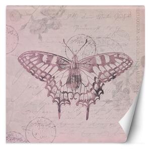 Fototapeta Motýľ na ružovom pozadí - Andrea Haase Materiál: Vliesová, Rozmery: 100 x 100 cm