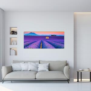 Obraz - Levanduľové pole (120x50 cm)