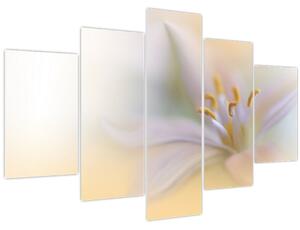 Obraz - Jemný kvet (150x105 cm)