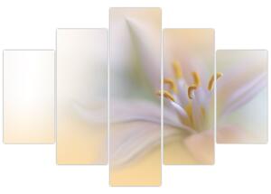 Obraz - Jemný kvet (150x105 cm)