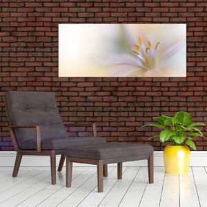 Obraz - Jemný kvet (120x50 cm)