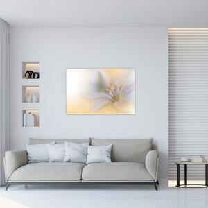 Obraz - Jemný kvet (90x60 cm)