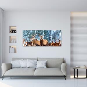 Obraz - Stádo jeleňov (120x50 cm)