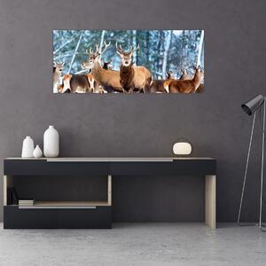 Obraz - Stádo jeleňov (120x50 cm)