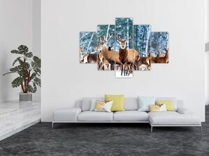 Obraz - Stádo jeleňov (150x105 cm)