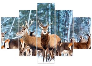 Obraz - Stádo jeleňov (150x105 cm)