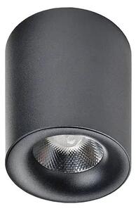 LED bodové svetlo Mane čierne – Čierna