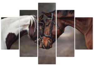 Obraz - Zamilované kone (150x105 cm)
