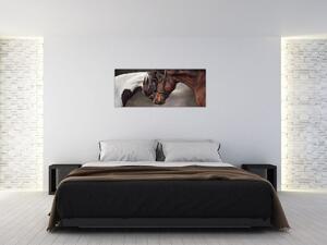 Obraz - Zamilované kone (120x50 cm)