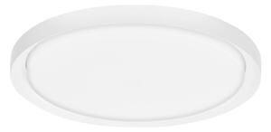 LED stropné svietidlo Troy 56 biele – Biela
