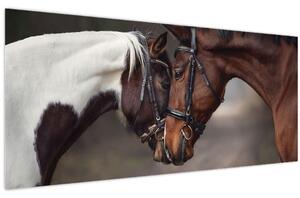 Obraz - Zamilované kone (120x50 cm)