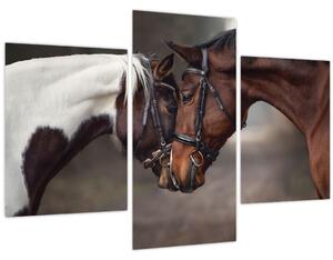 Obraz - Zamilované kone (90x60 cm)