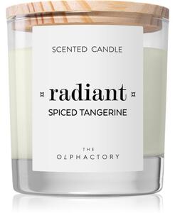 Ambientair The Olphactory Spiced Tangerine vonná sviečka Radiant 200 g