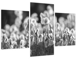 Obraz - Letná lúka (90x60 cm)