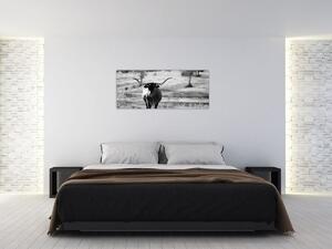 Obraz - Krava, čiernobiela (120x50 cm)