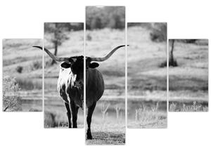 Obraz - Krava, čiernobiela (150x105 cm)