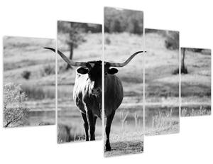 Obraz - Krava, čiernobiela (150x105 cm)