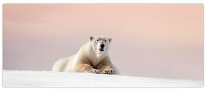 Obraz - Ľadový medveď (120x50 cm)