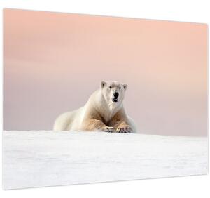 Obraz - Ľadový medveď (70x50 cm)