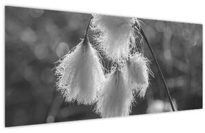 Obraz - Cottongrass (120x50 cm)