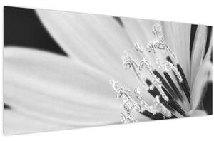 Obraz - Čiernobiely kvet (120x50 cm)