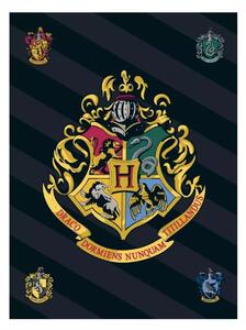 DETSKÁ FLEECOVÁ DEKA HARRY POTTER 100X140 CM VZOROVANÁ