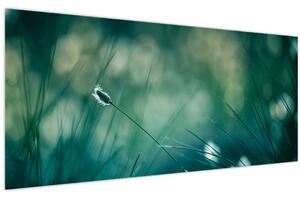 Obraz - Detail trávy (120x50 cm)