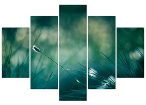 Obraz - Detail trávy (150x105 cm)